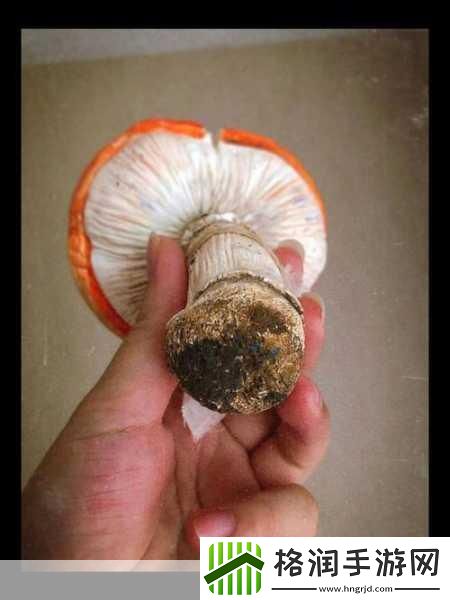 口咬的技巧与步骤图解