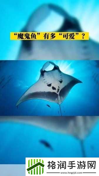 海洋生物中被称为魔鬼鱼的是