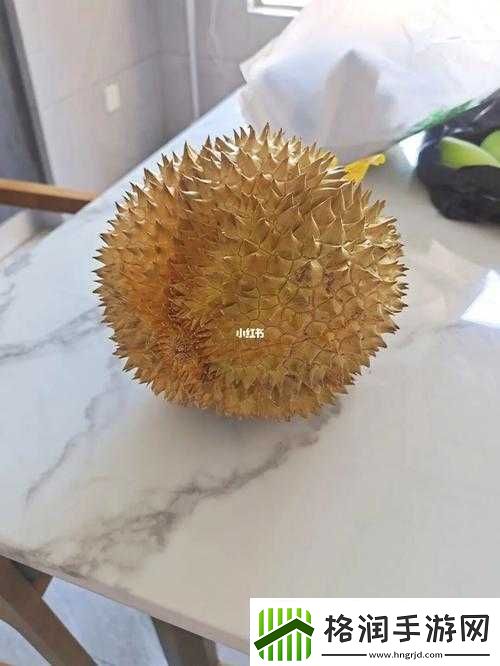 每天都在汆肉中醒来