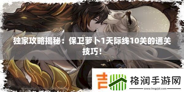 独家攻略揭秘