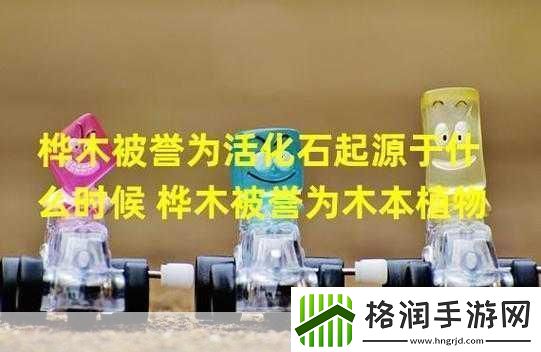 活化石起源于什么时候桦木被誉为木本植物里的活化石