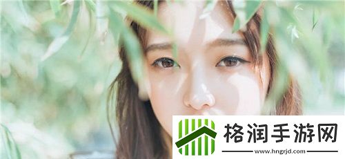 黑寡妇v3无线多少入手合适