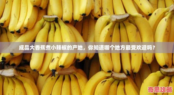 成品大香蕉煮小辣椒的产地
