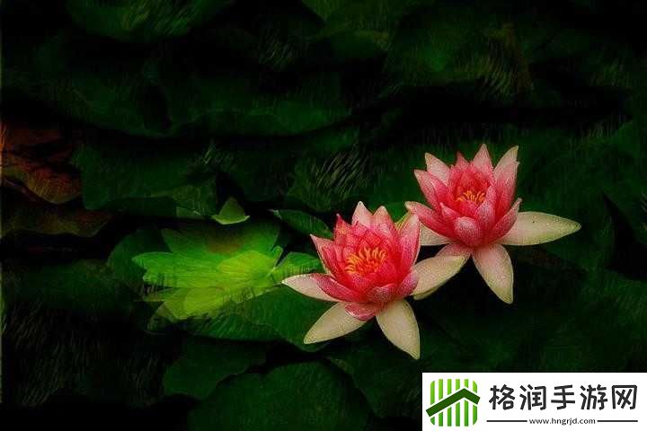 两瓣红莲今夜开一池碧水盼君浴