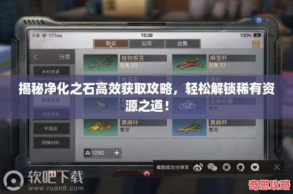 揭秘净化之石高效获取攻略