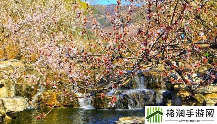 桃花洞口已是溪水潺潺