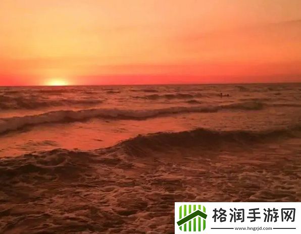 关于免费网站在线观看人数在哪买的全方位解读与分析