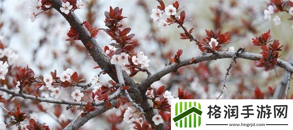 授课方式by清欢的创新