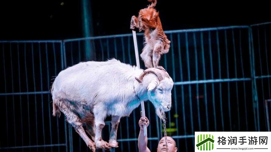 大奇幻时代渡劫系统介绍