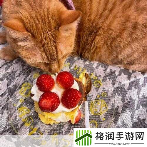 蜜丝婷大草莓和小草莓比较