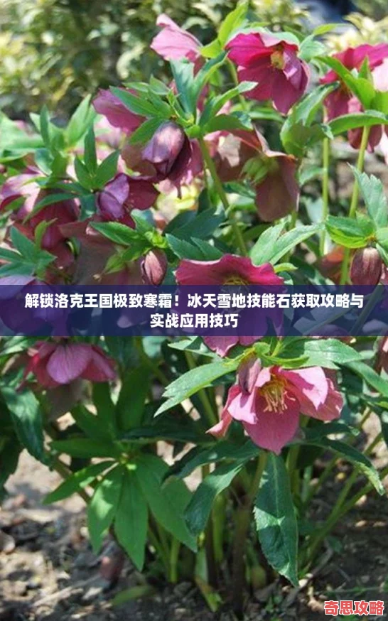 解锁洛克王国极致寒霜！冰天雪地技能石获取攻略与实战应用技巧