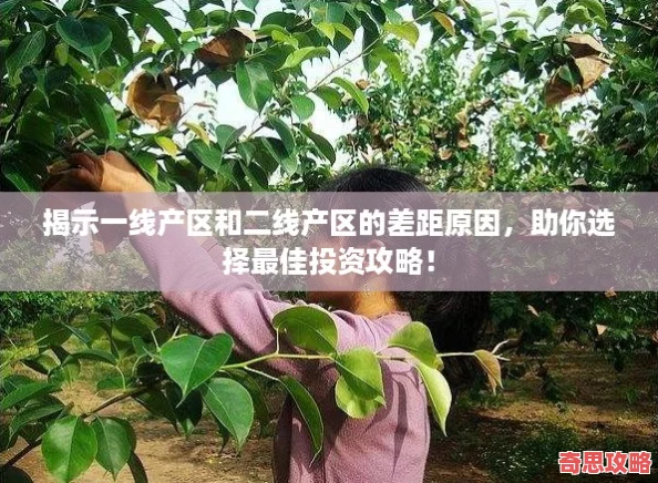 揭示一线产区和二线产区的差距原因