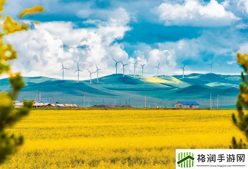 大叔你好坏大叔摇起来是什么歌的深度解析与背后故事