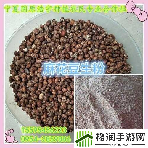 麻花豆精产三产区区别