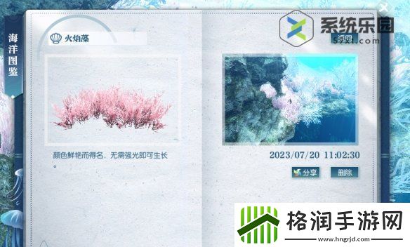 逆水寒手游火焰藻分布位置