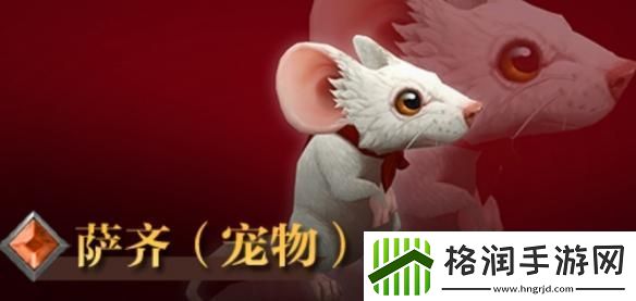 魔兽世界萨齐宠物怎么获得