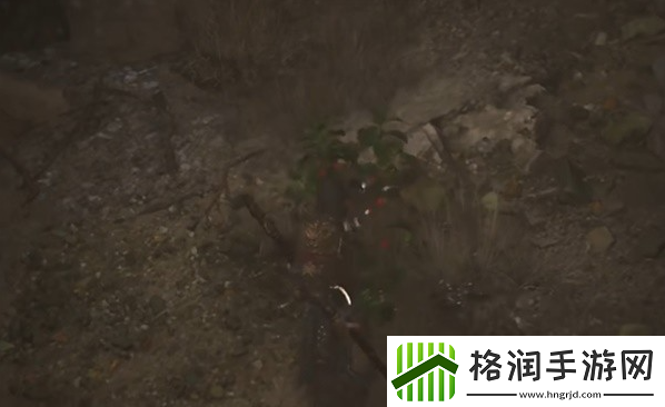 黑神话悟空火铃草种子在哪得