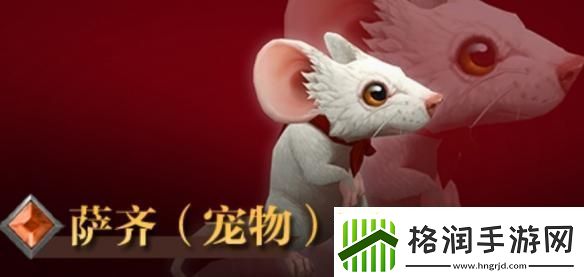 魔兽世界萨齐宠物怎么获得