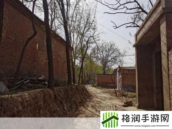 冠县北馆陶镇郎庄村以什么传统工艺闻名全国