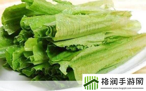 油麦菜的奇妙世界