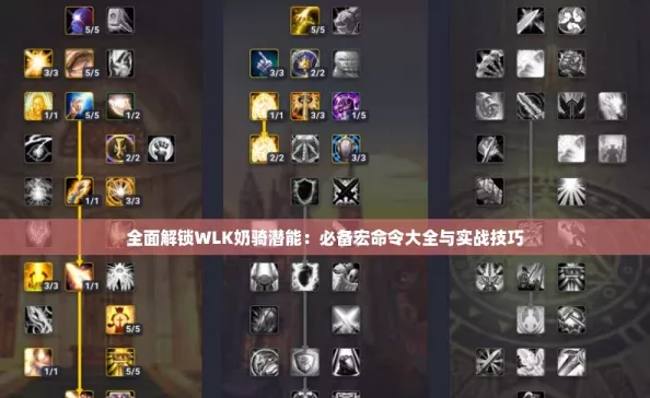 全面解锁WLK奶骑潜能