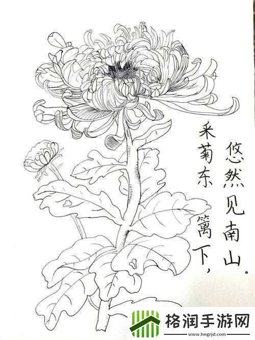 答错一题菊花放一支笔温客行