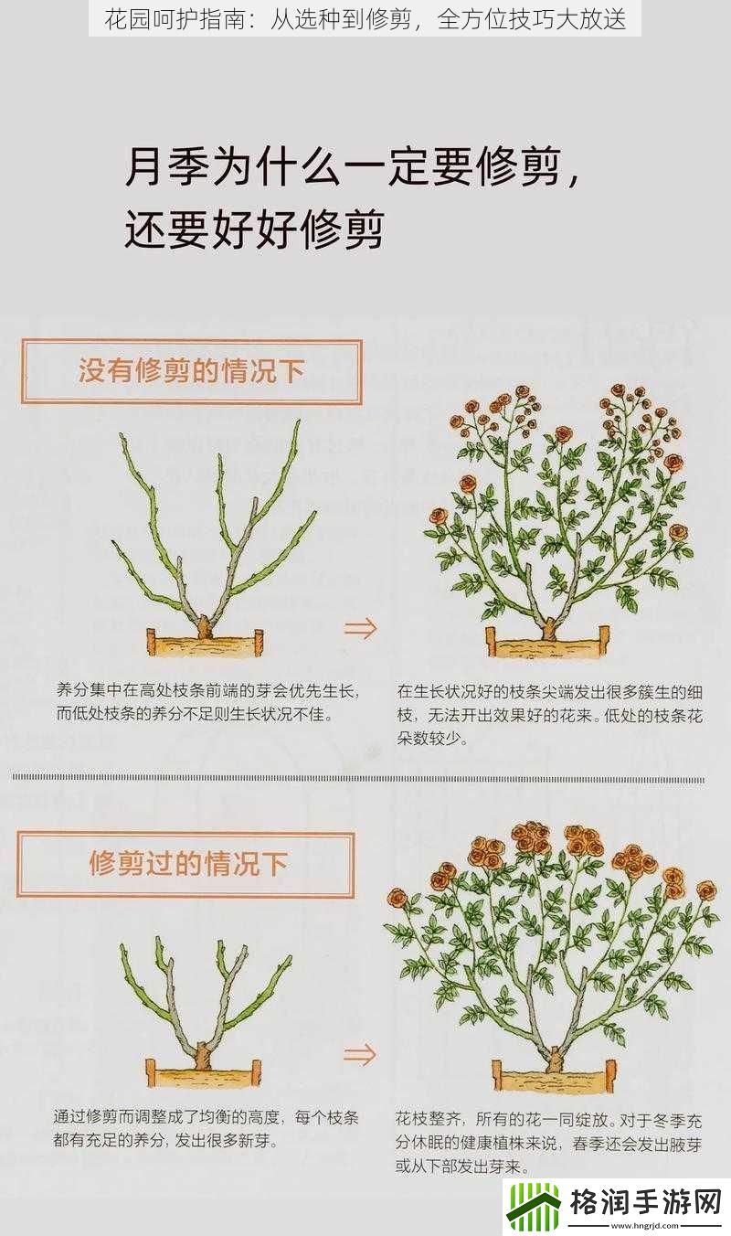 花园呵护指南