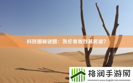 科技圈新谜题