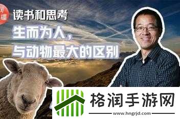 人和物动物交互在钱中的作用