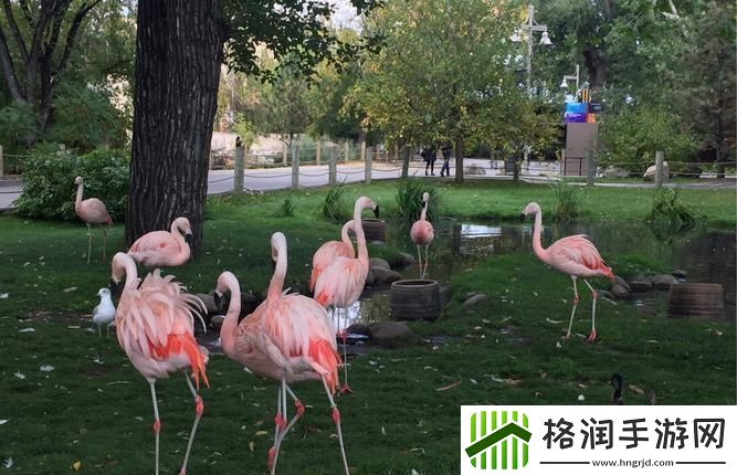 卡尔加里动物园