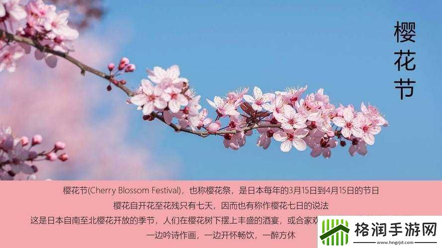 我能否深入了解你关于樱花的一切