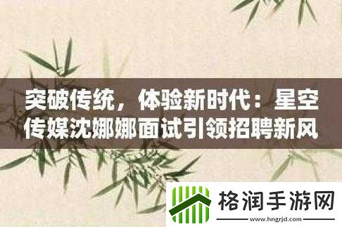 星空传媒沈娜娜面试功能介绍