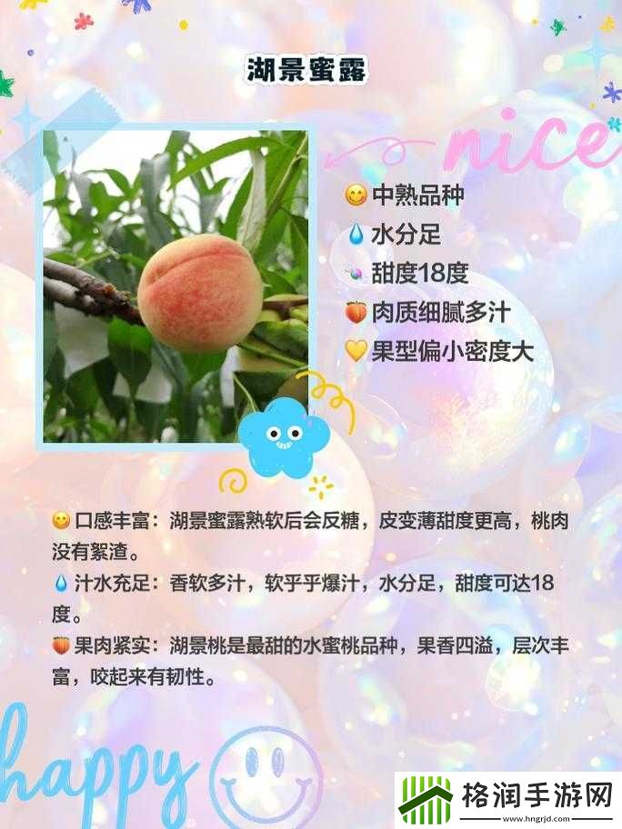 日本水蜜桃品种岭风