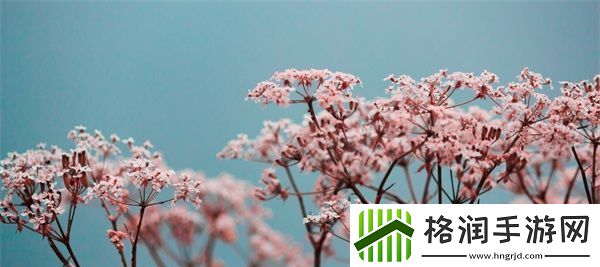 成免费的CRM是正规还是仿