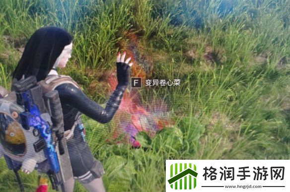 BOSS战斗技巧全解析攻略！七日世界变异植物获取位置分享