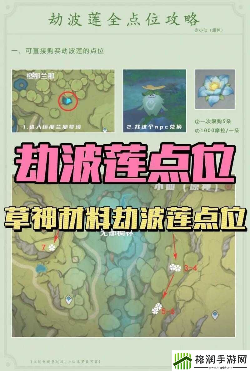 四叶草私人研究所的研究成果