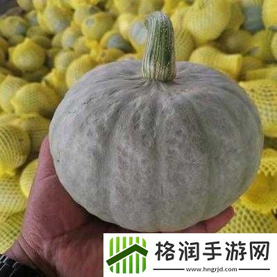 异狩志手游银栗山庄职业解析概览