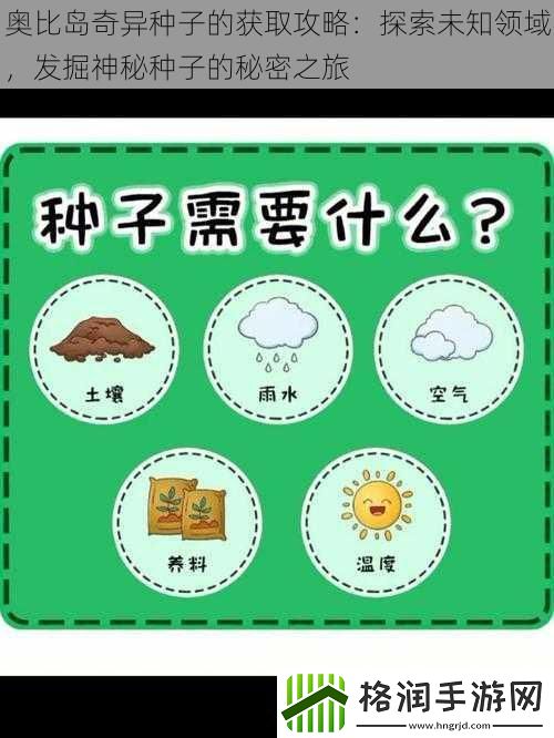 奥比岛奇异种子的获取攻略