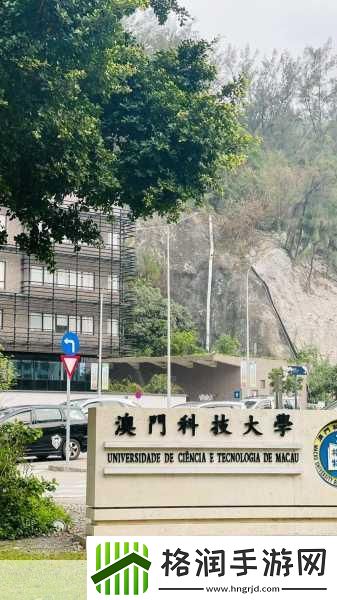 探索无限创意边界