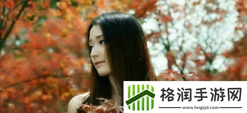 X9X9X9X9任意槽2024免费版