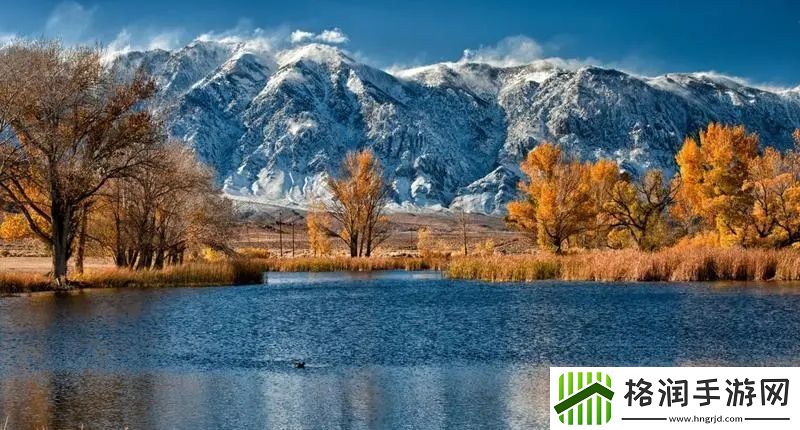 ワルキューレがとまらない歌词