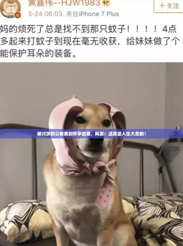 被讨厌的公夜袭到怀孕后果