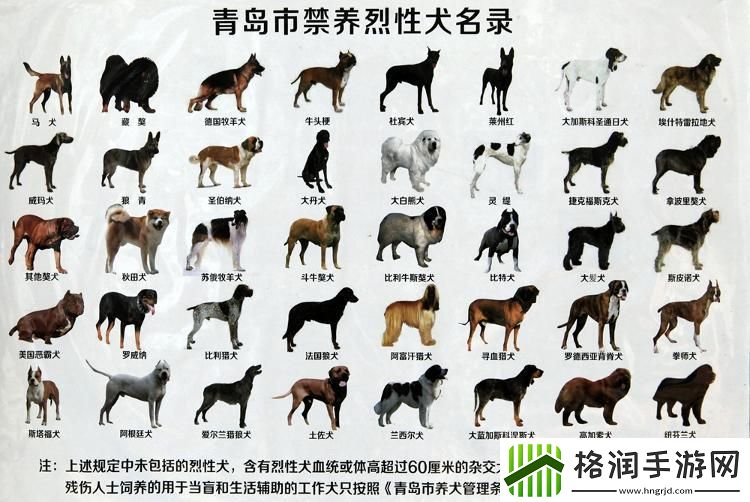 “狗狗人胶秘方”