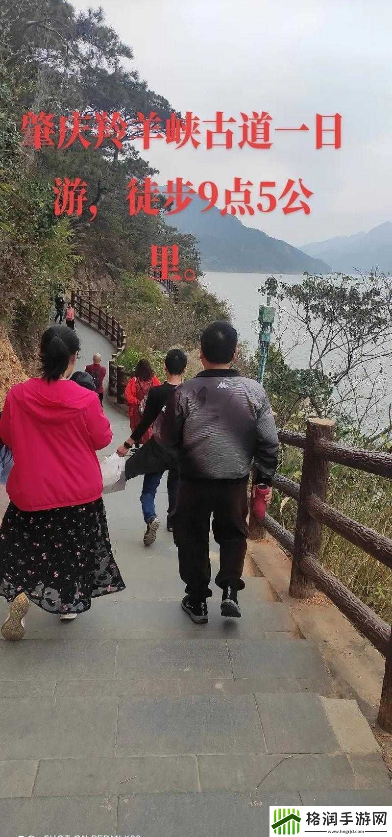 赵丽雅