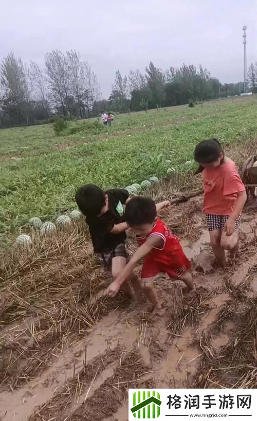 “乡村的快乐生活