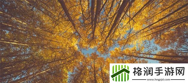 精灵被改造成产子工具