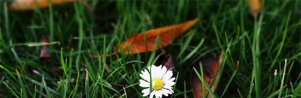 哔哩哔哩情侣进入高峰期