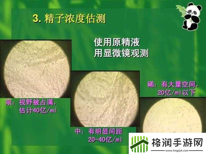 精二和精三的区别