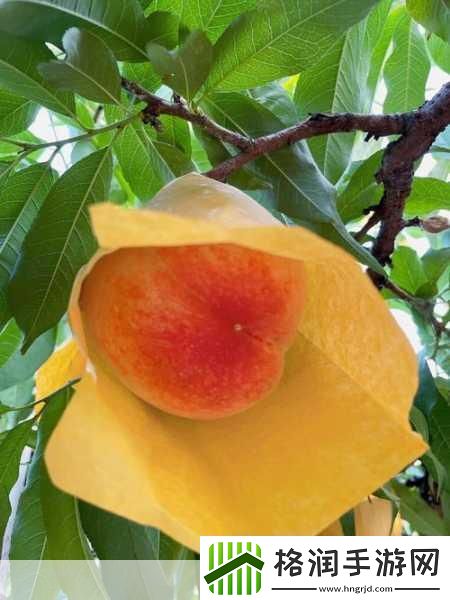 熟透的水蜜桃非常甜改为比喻句