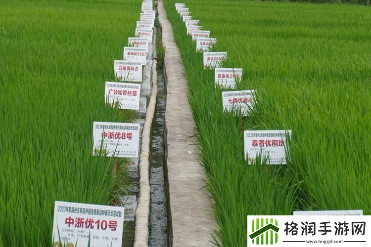 疯狂解码！精产国品神秘三角